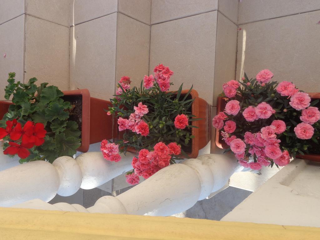 Guest House Ivana Tivat Bagian luar foto