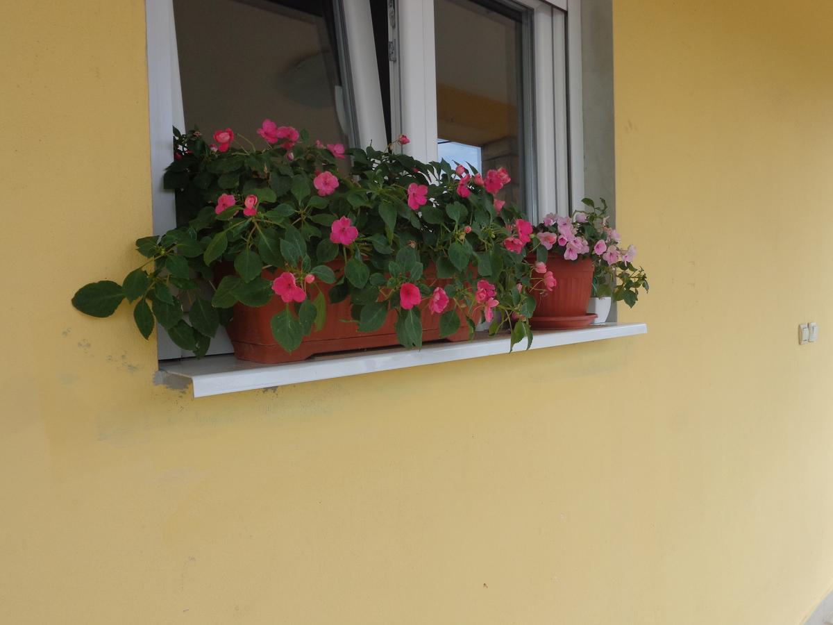 Guest House Ivana Tivat Bagian luar foto